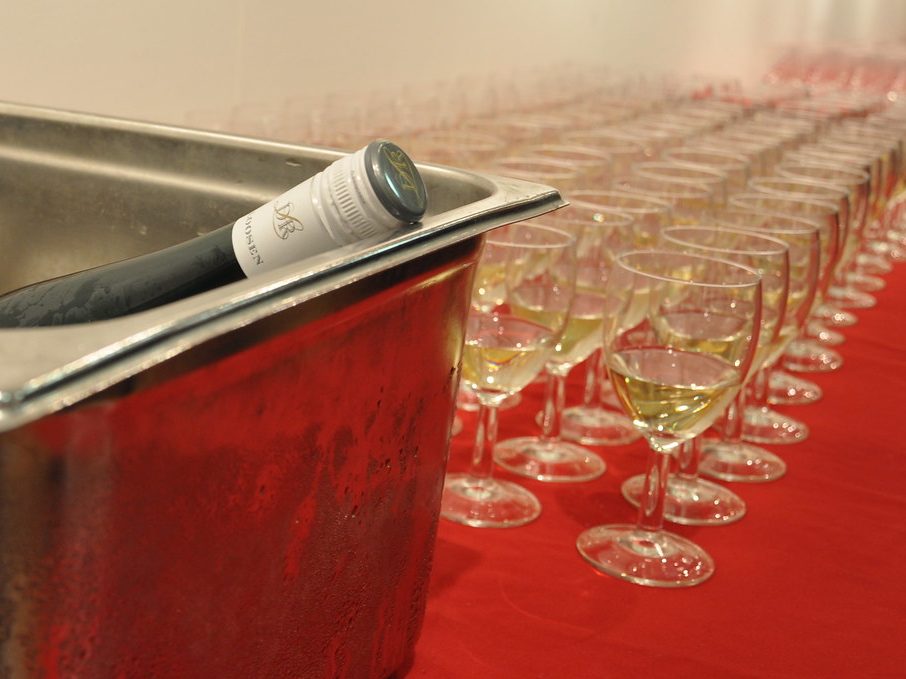 Wine glasses lined up for a tasting